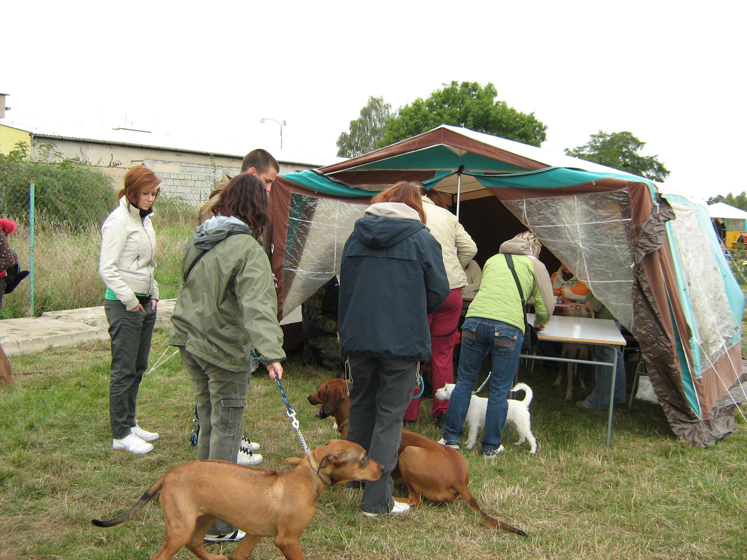 KRALUPSKÁ  Ťapka 20.09.2009 123.jpg