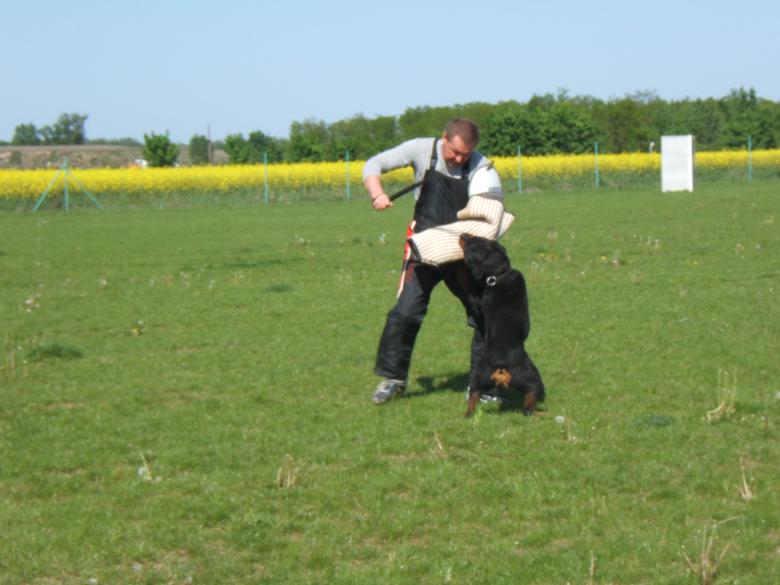 DSCF2033.JPG
