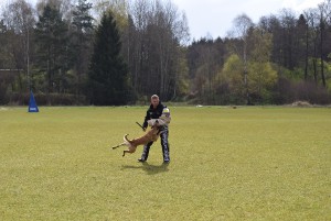 dsc_0685.jpg