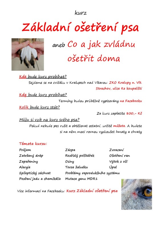 letak.jpg