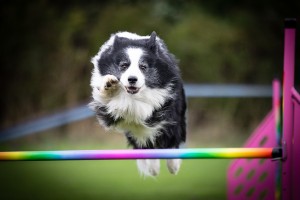 img_9552.jpg